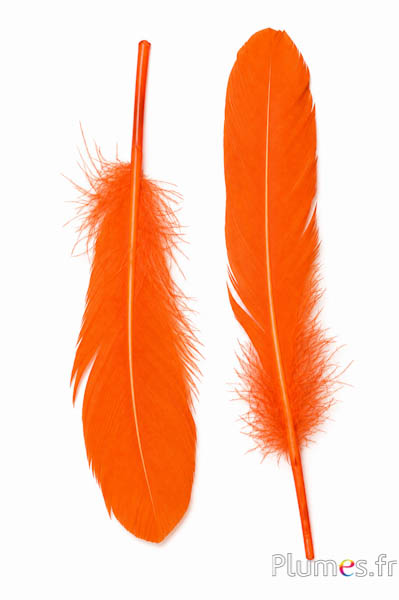 Gans - 15-21 cm, links en rechts - oranje
